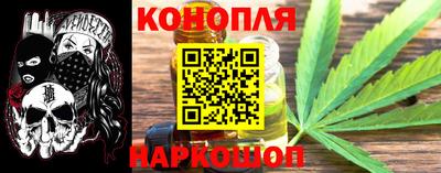 шишки Бийск