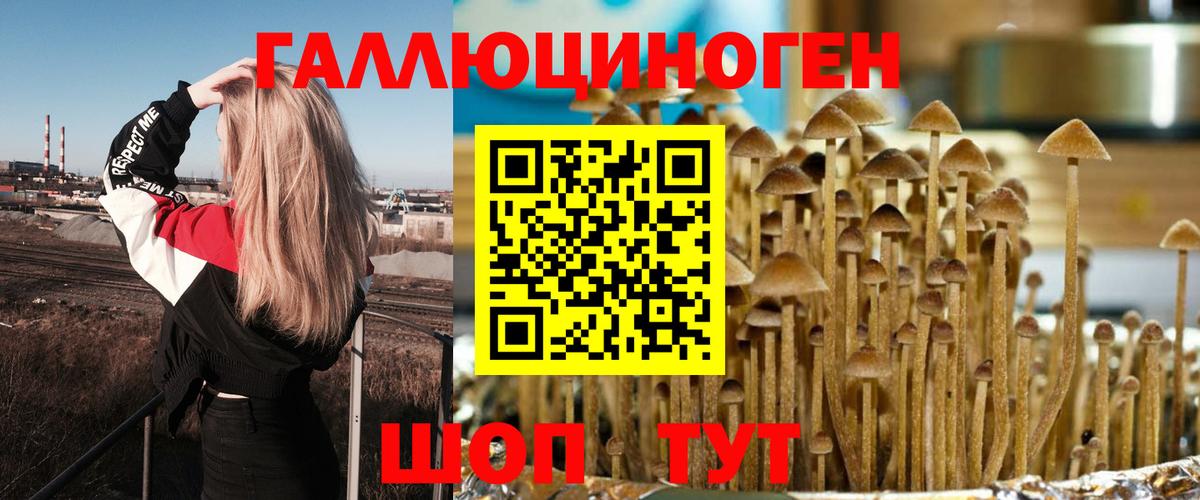 Кандалакша  Галлюциногенные грибы Psilocybe  цена   Вход с VPN 