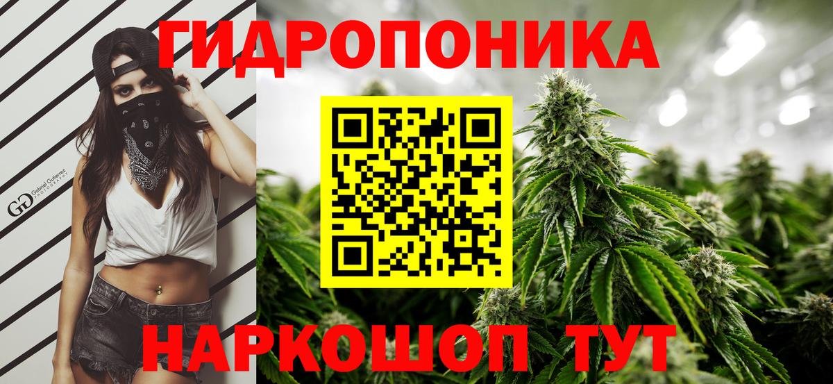Бошки марихуана OG Kush Кандалакша